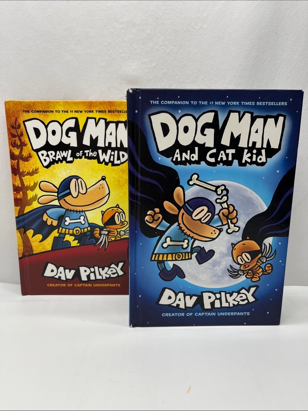 Dog Man and Cat Kid by Dav Pilkey - Blue Cover